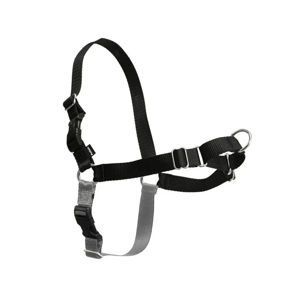 Adjustable webbing harness